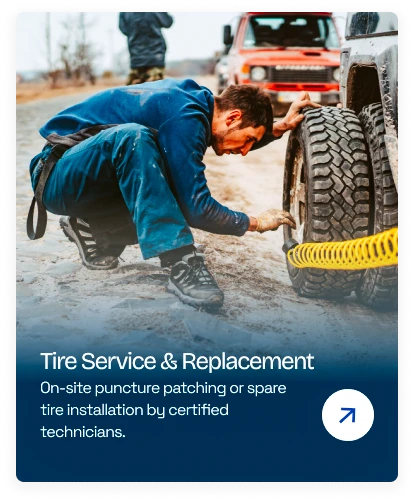 Serv-U Hub Category